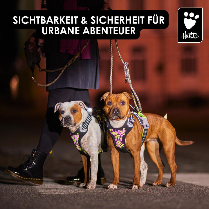 Hurtta Weekend Warrior Neon Hundegeschirr II (Licorice, Lakritz, 55-70 cm) licorice, Lakritz 55-70 c