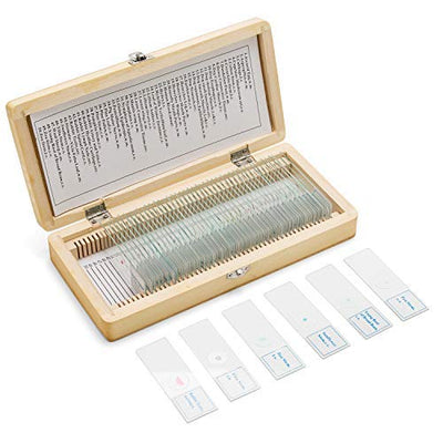 SWIFT 50 Vorgefertigte Mikroskop-Dias Set für die Biologische Wissenschaft, mit Holzkoffer PS50, PS5