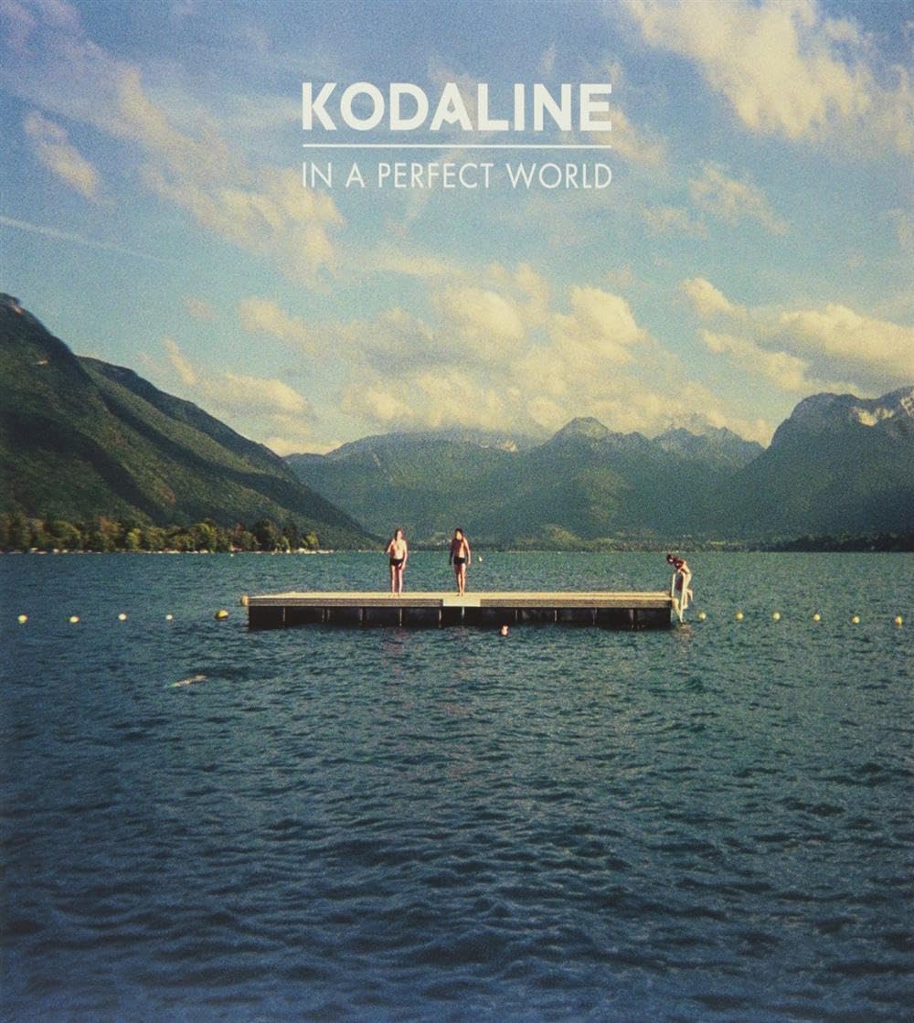In a Perfect World [Vinyl LP], Vinyl