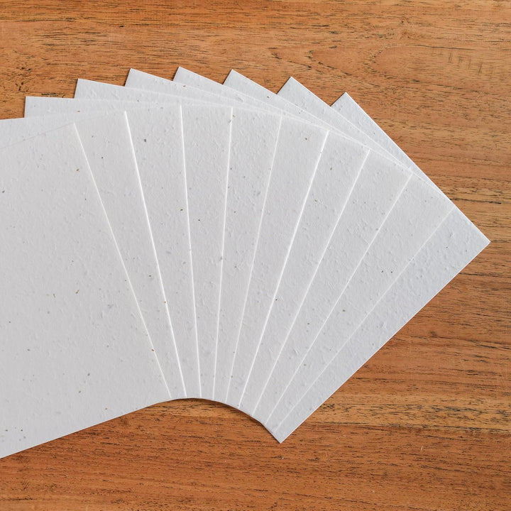 BLOOMING Aussaatpapier - 50 Blatt - DIN A6 150 g/m² - 10,5 x 15 cm - weiss - Blanko - biologisch abb