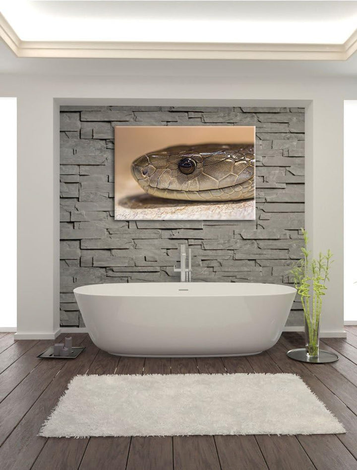 Pixxprint wachsame Natter auf Leinwand, XXL riesige Bilder fertig gerahmt mit Keilrahmen, Kunstdruck