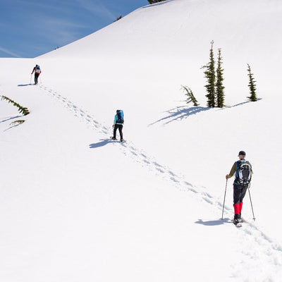 Msr Herren Evo Tail Schneeschuhausrüstung, Schwarz, Grösse 39