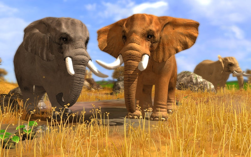 Wildlife Park 3 - Jubiläums Edition