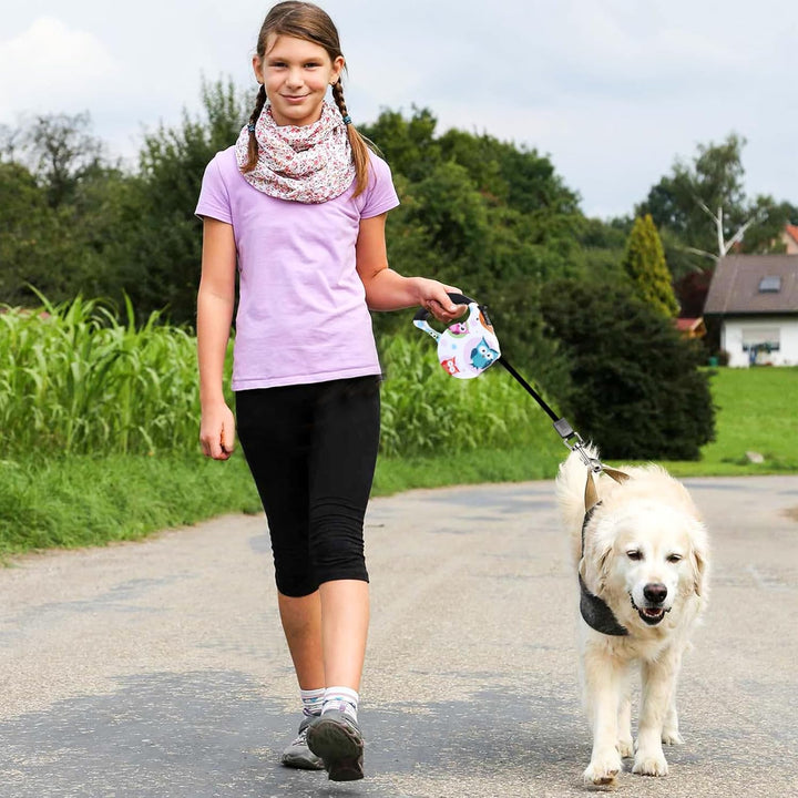 PETCUTE Ausziehbare und einziehbare Hundeleine für das Training von Haustieren bis 15 kg, H