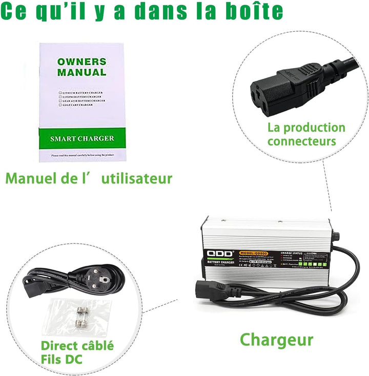 QDD 67,2 V 10 A Li-Ionen-Akku-Smart-Ladegerät, vollständig mit Lüfter, verwendet für 16S 60 V Li-Ion