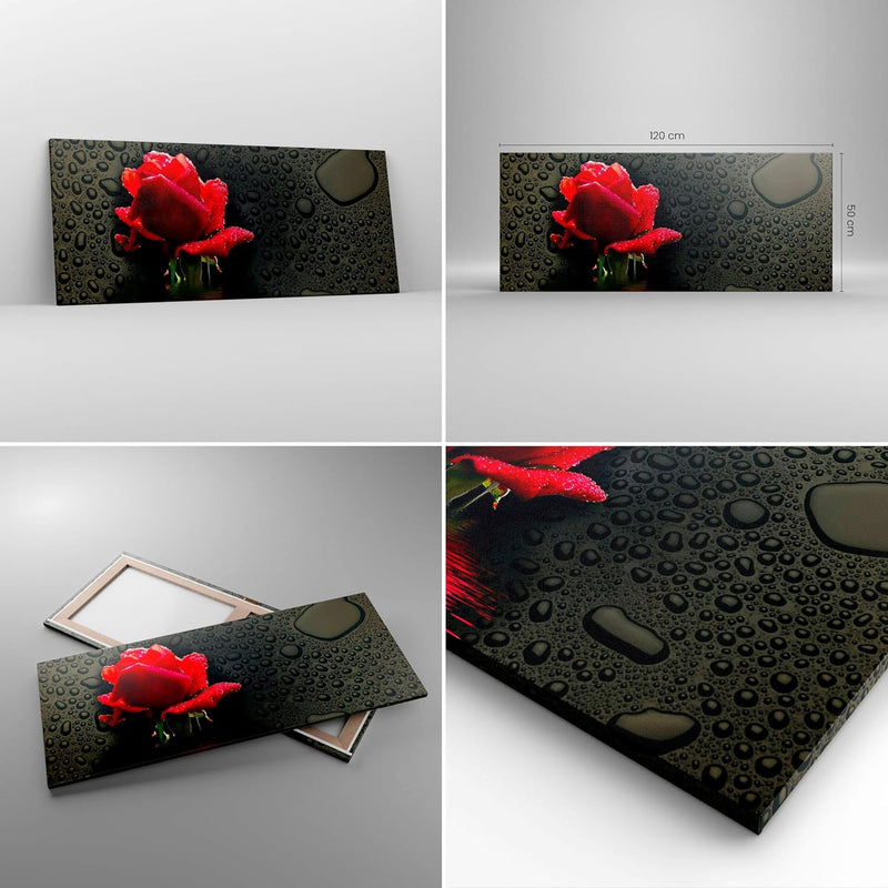 Wandbilder Dekoration Wohnzimmer Blume rote rose wasser tau Panorama Bilder auf Leinwand 120x50cm Le