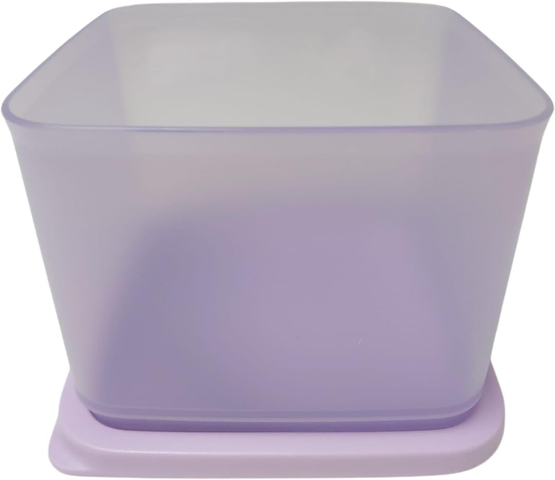 Tupperware Eiskristall Gefrierdepot Gefrierbehälter Kühlschrankbehälter Lebensmittelbehälter Behälte