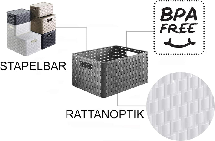 Rotho Country 3er-Set Aufbewahrungsbox 18l in Rattan-Optik, Kunststoff (PP) BPA-frei, anthrazit, 3 x