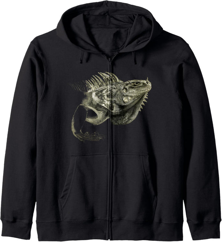 Leguan Eidechse Schöner Leguan Kapuzenjacke