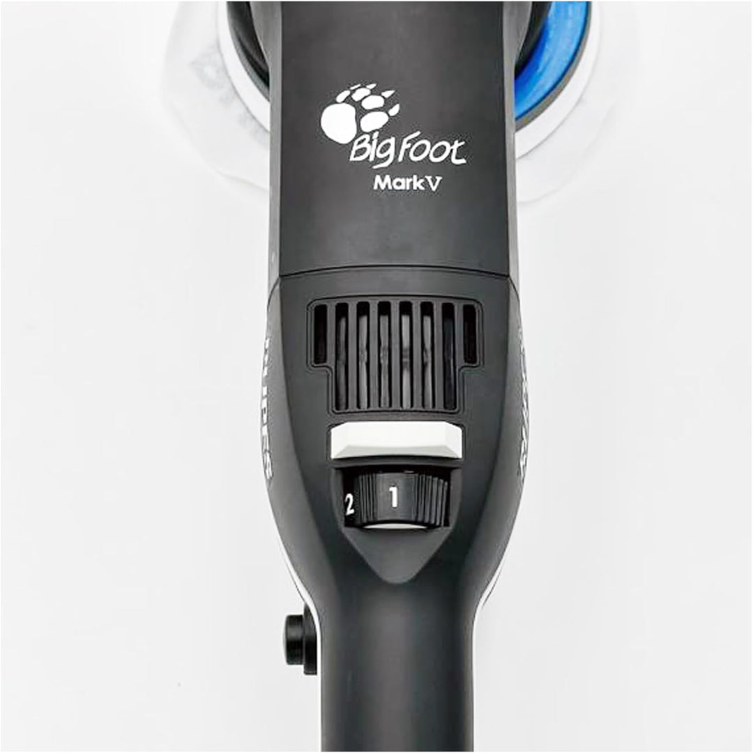 RUPES BigFoot Exzenter-Poliermaschine, 15 mm, Leistung 500 Watt, Klett-Schleifteller 125 mm, Karosse