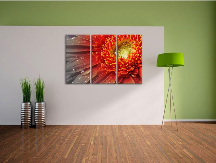 Pixxprint Gerbera mit Wassertropfen als Leinwandbild/Grösse: 3 Teilig (120x80 cm) cm/Wandbild/Kunstd