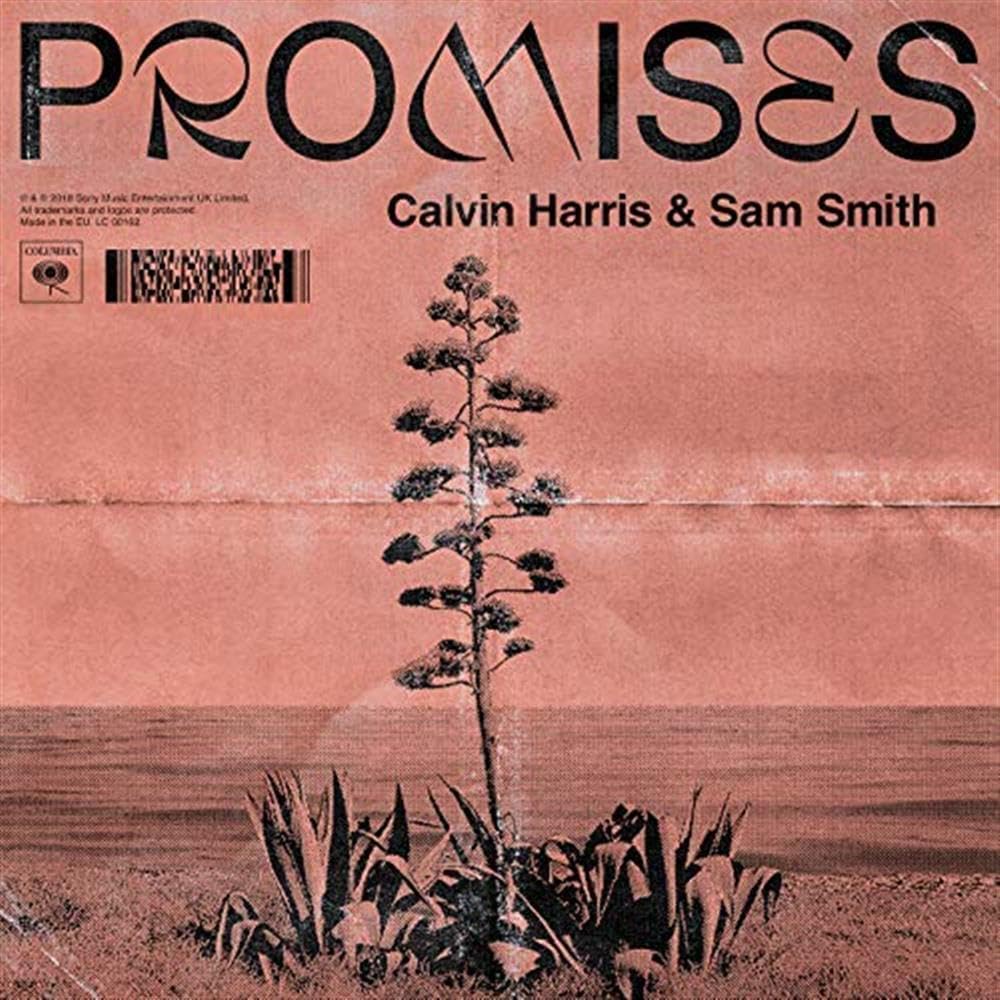 Promises, Vinyl