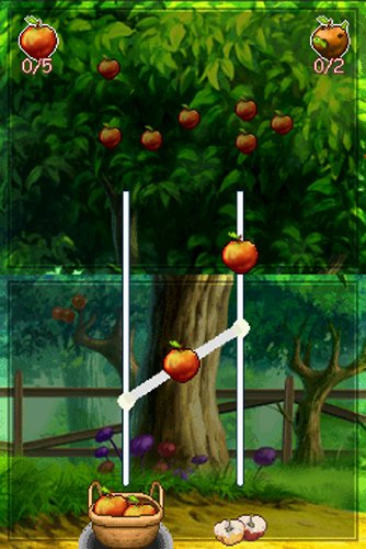 Das grosse Unwetter - [Nintendo DS]