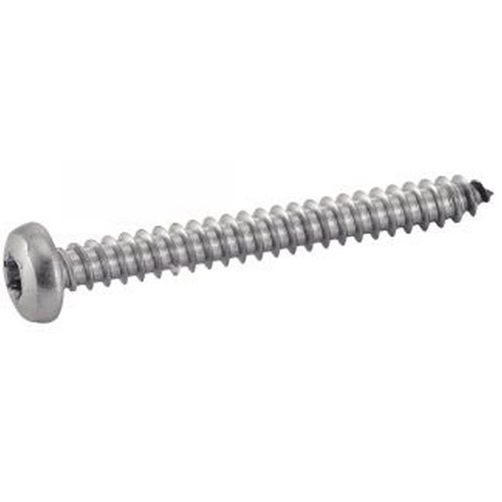 200 X Flachkopf Blechschrauben mit Innensechsrund ISO 14585 A2 C 6.3X100 TX30 6.3 x 100 200, 6.3 x 1