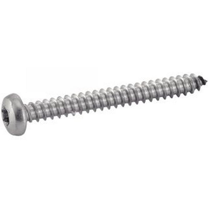 200 X Flachkopf Blechschrauben mit Innensechsrund ISO 14585 A2 C 6.3X100 TX30 6.3 x 100 200, 6.3 x 1