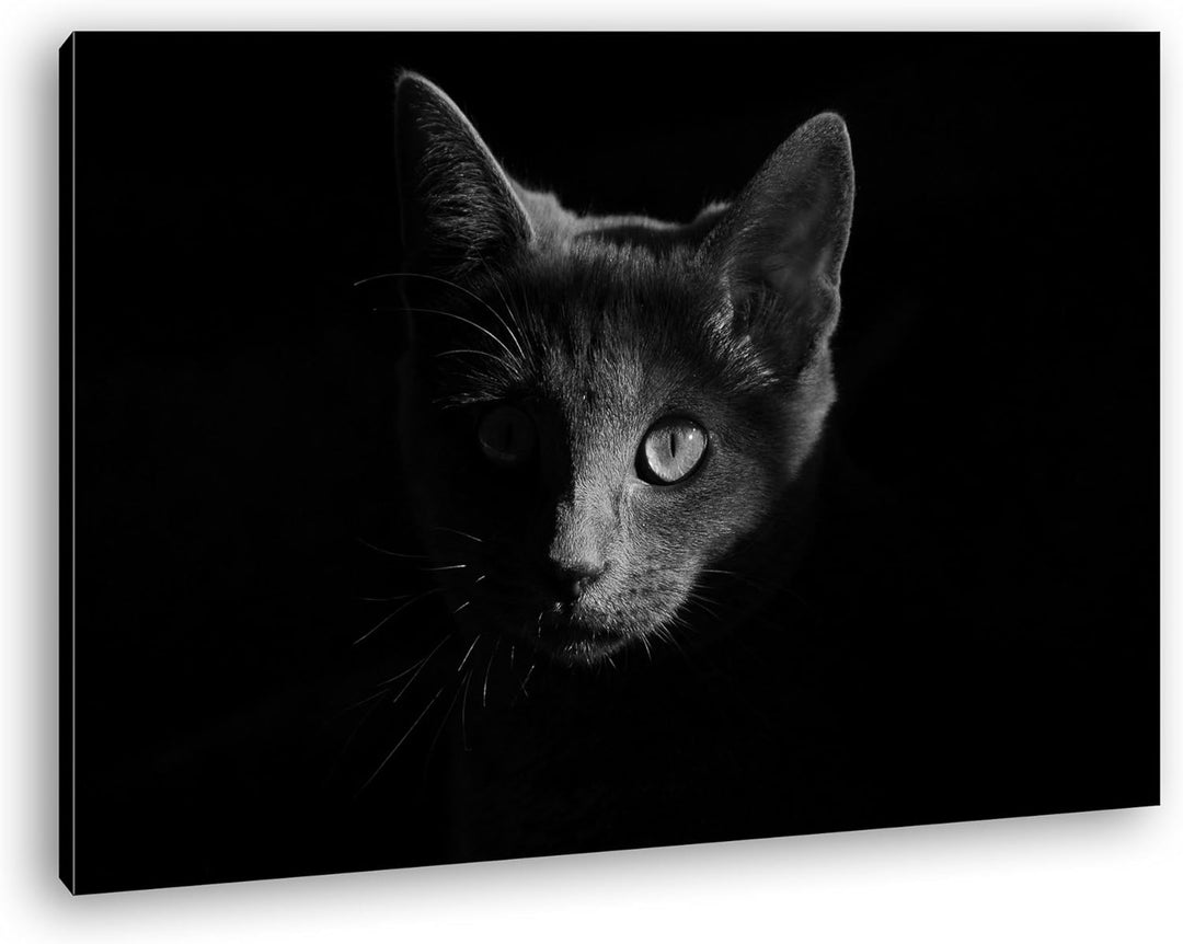 deyoli Dark Schwarze Katze Effekt: Schwarz/Weiss Format: 80x60 als Leinwandbild, Motiv fertig gerahm