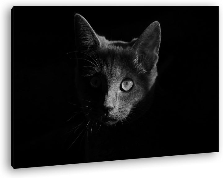 deyoli Dark Schwarze Katze Effekt: Schwarz/Weiss Format: 80x60 als Leinwandbild, Motiv fertig gerahm