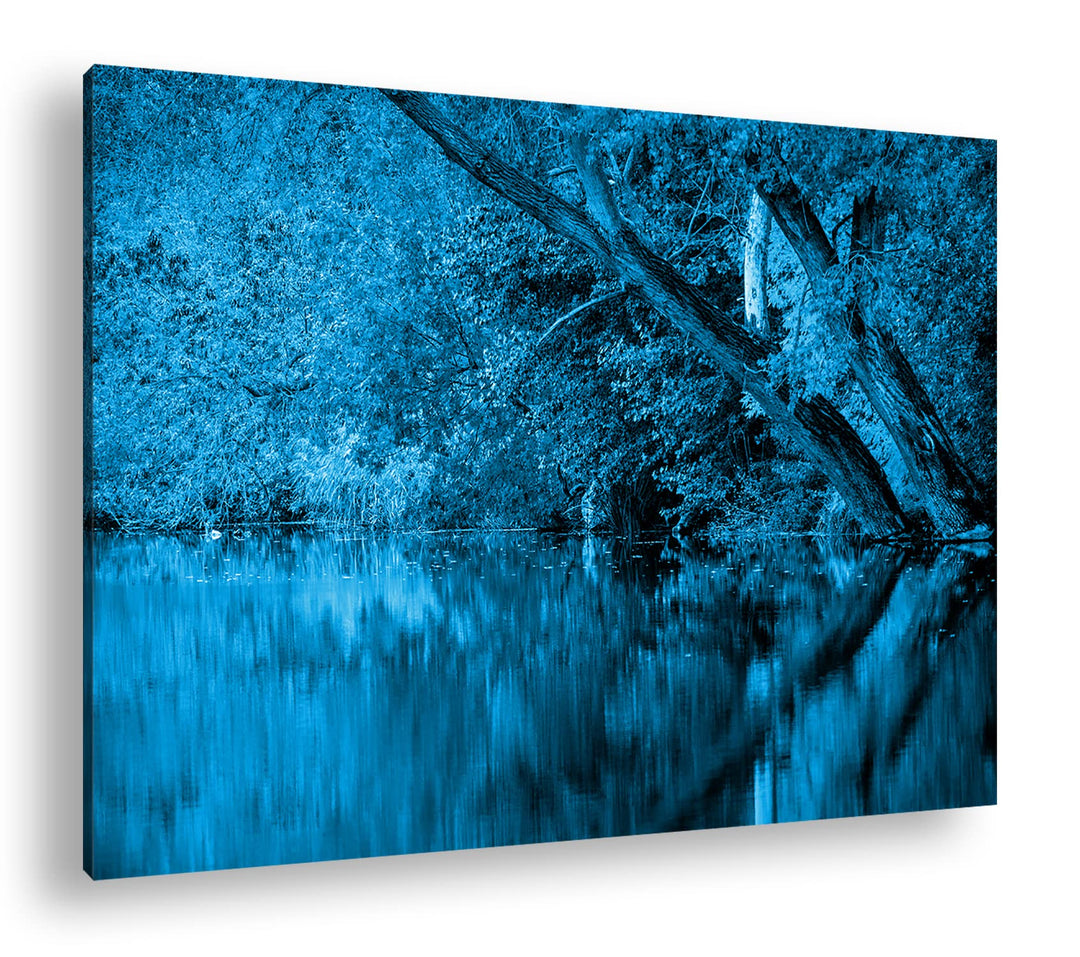 deyoli Bäume am Seeufer im Herbst Format 100x70 Effekt: Monocrome Blau als Leinwandbild, Motiv ferti