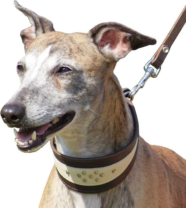 Dingo Weiches Lederhalsband für Windhund Eleganz Halsband Soft 12399 33 cm, 33 cm
