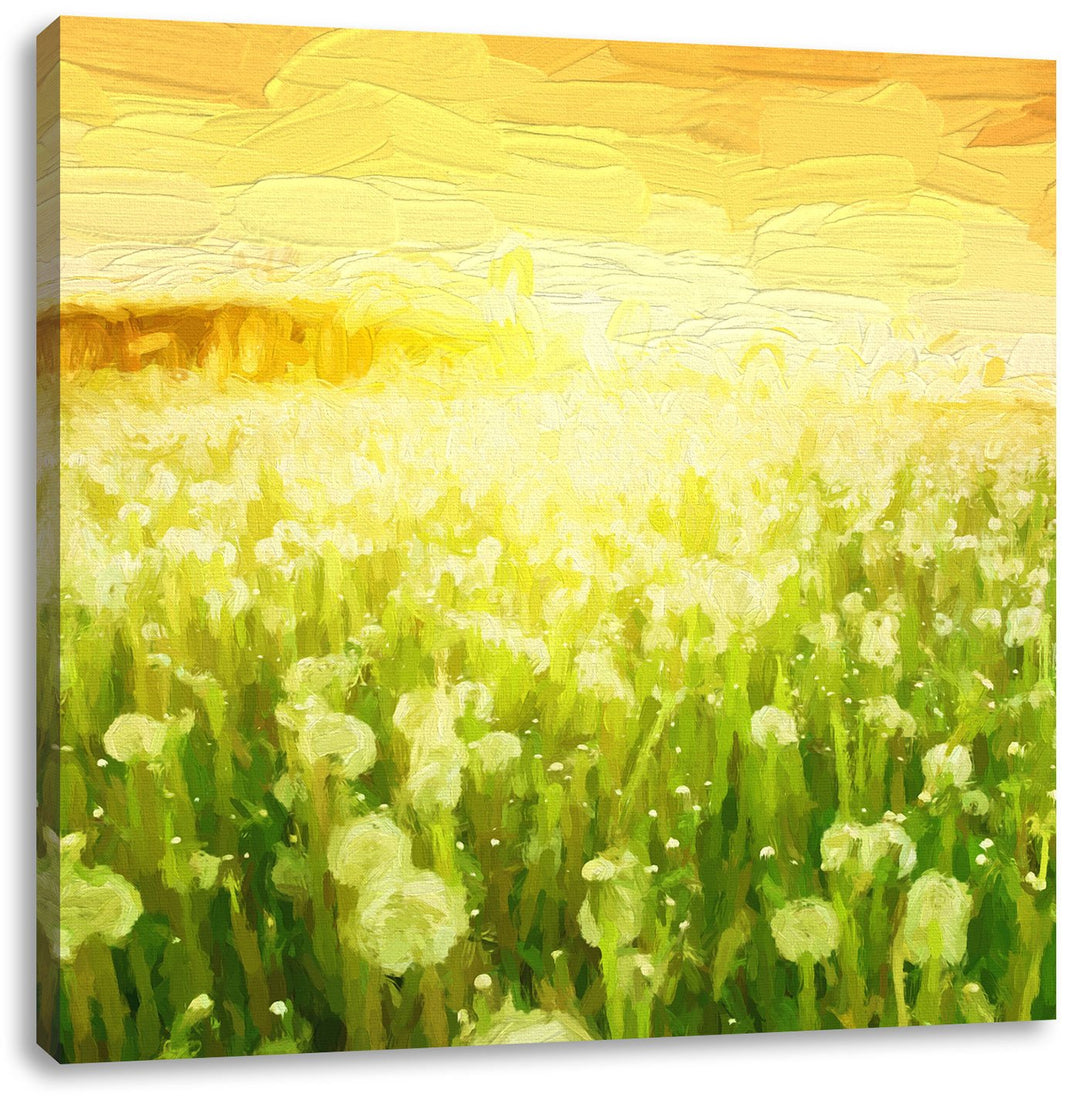 Pixxprint Pusteblumenwiese bei Sonnenuntergang Pinsel Effekt, Format: 70x70 auf Leinwand, 70x70
