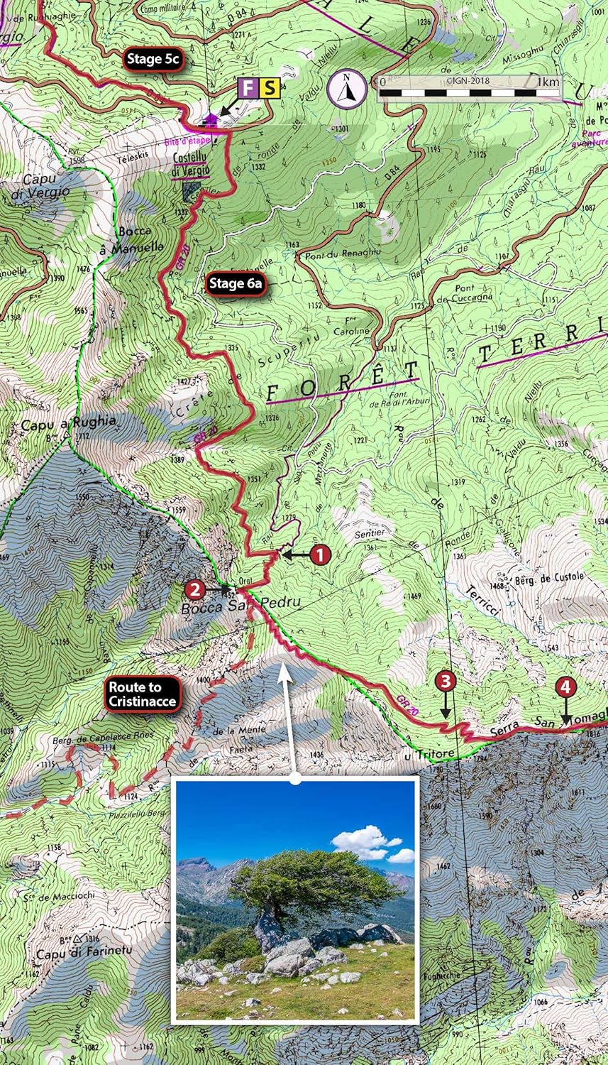 Trekking the Corsica Gr20: Two-way Trekking Guide: Real Ign Maps 1:25,000 (The Great Treks of the Wo