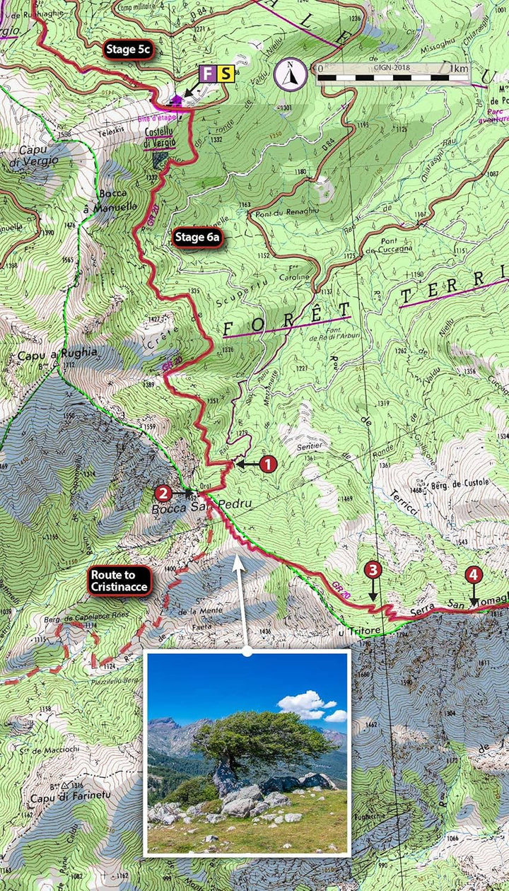 Trekking the Corsica Gr20: Two-way Trekking Guide: Real Ign Maps 1:25,000 (The Great Treks of the Wo