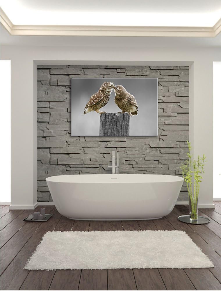 Küssende Eulen B&W Detail, Format: 100x70 auf Leinwand, XXL riesige Bilder fertig gerahmt mit Keilra