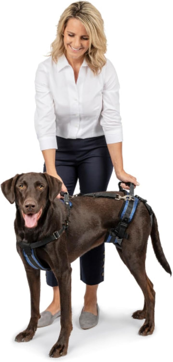 PetSafe CareLift Hebegeschirr für Hunde, Ganzkörperhebehilfe mit Griff und Schultergurt, Brust- und