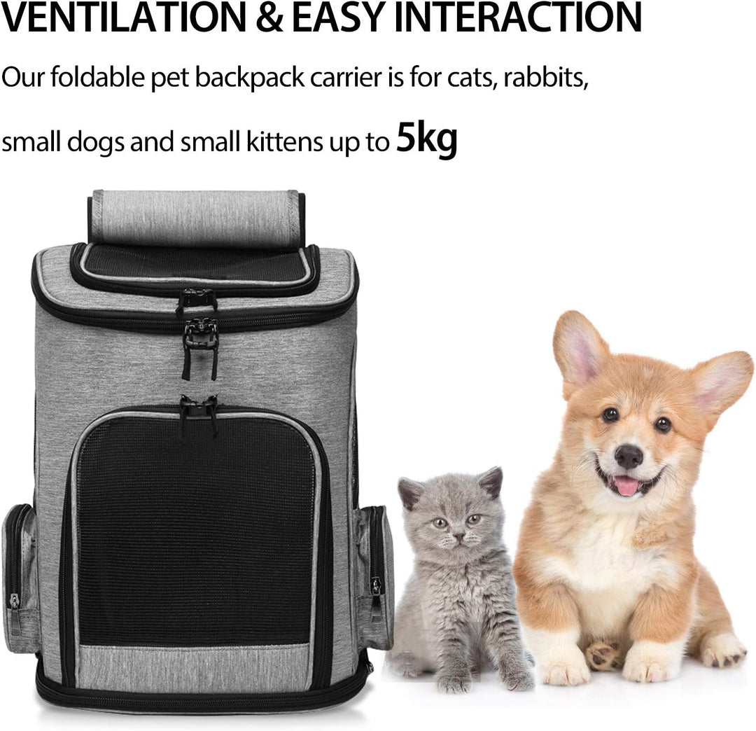 PETCUTE Hundetragetasche Katzenrucksack Haustier Rucksack Atmungsaktiv Wanderrucksack für Kleine Hun