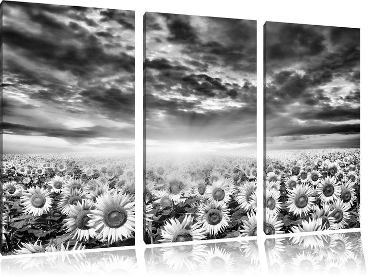 Pixxprint Sonnenblumenfeld als Leinwandbild/Grösse: 3 Teilig (120x80) cm/Wandbild/Kunstdruck/fertig
