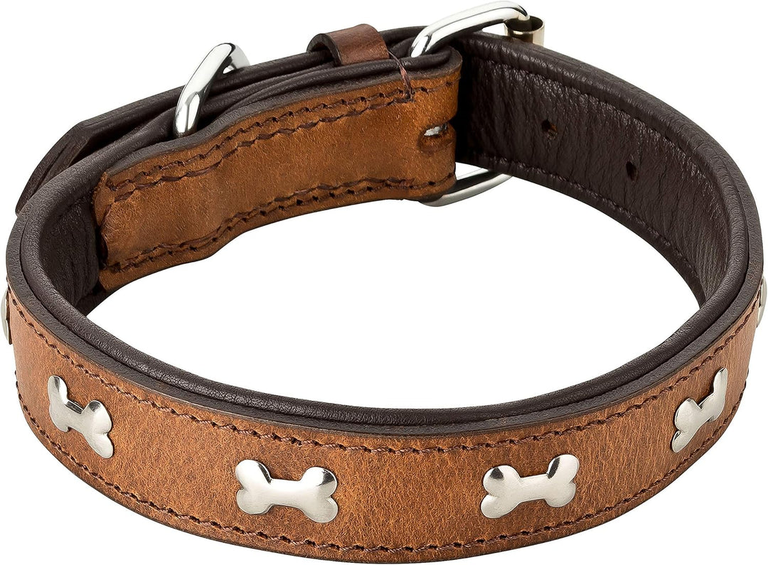 Schnüffelfreunde Lisa Halsband für Hunde aus Leder mit Applikation, Hundehalsband für den grossen un