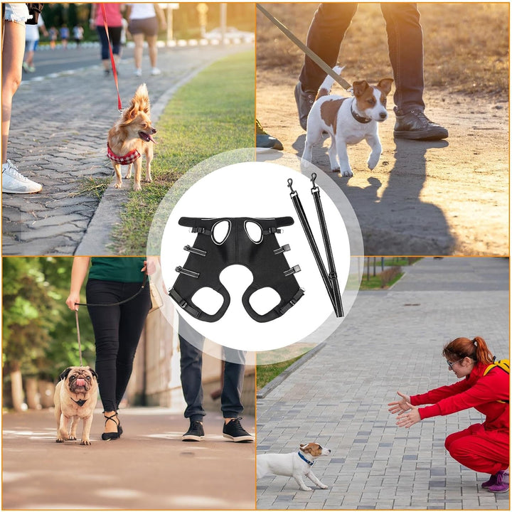 Hundegeschirr Zum Tragen - Hunde Geschirr Mit Beinstütze &amp; Tragegurt für Welpen | Atmungsaktive Trag