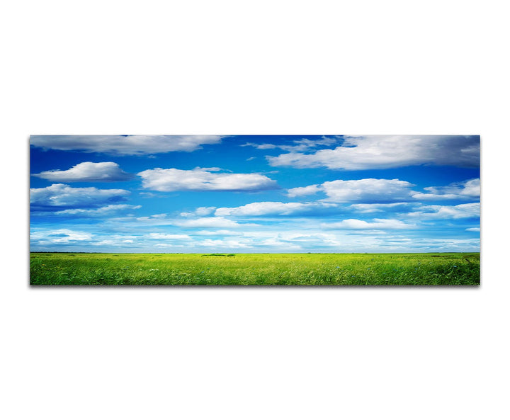 Paul Sinus Art Panoramabild auf Leinwand und Keilrahmen 150x50cm Feld Wiese Sommer Himmel Wolken
