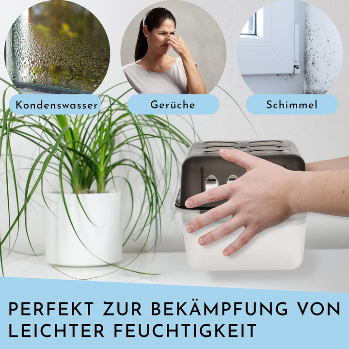Vaily Luftentfeuchter 4er Set mit 8x 400g Nachfüllbeutel - Raumentfeuchter mit Granulat für Bad, Kel