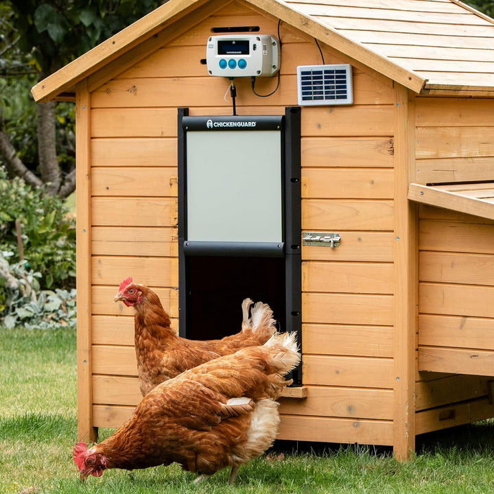 ChickenGuard Automatischer Hühnerstall Türöffner, betrieben mit Solarenergie/Batterien/Strom. Timer/