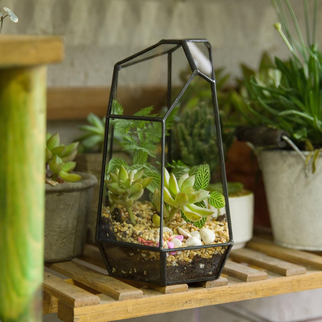 NCYP 10x12,5x19cm Handgefertigtes unregelmässiges Prisma-Glas geometrische Terrarienbox, für Tischpl
