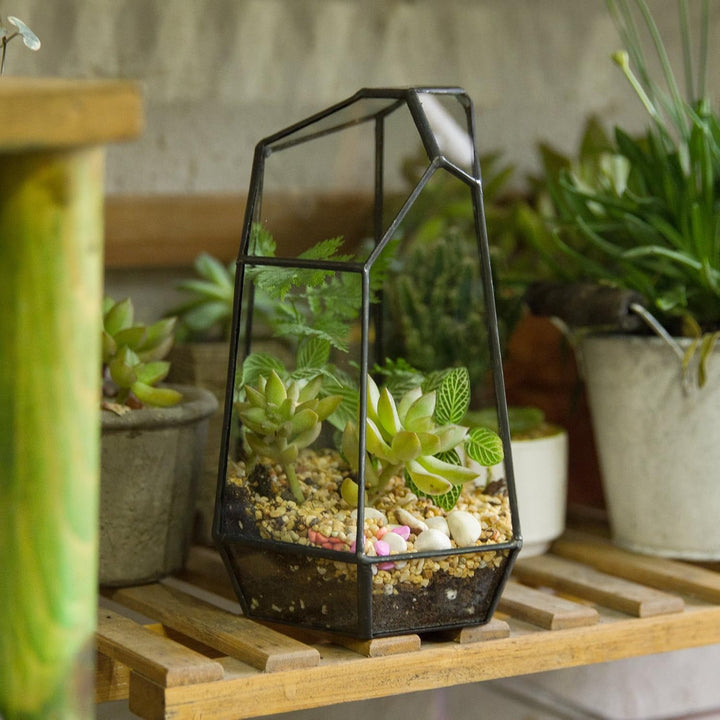 NCYP 10x12,5x19cm Handgefertigtes unregelmässiges Prisma-Glas geometrische Terrarienbox, für Tischpl