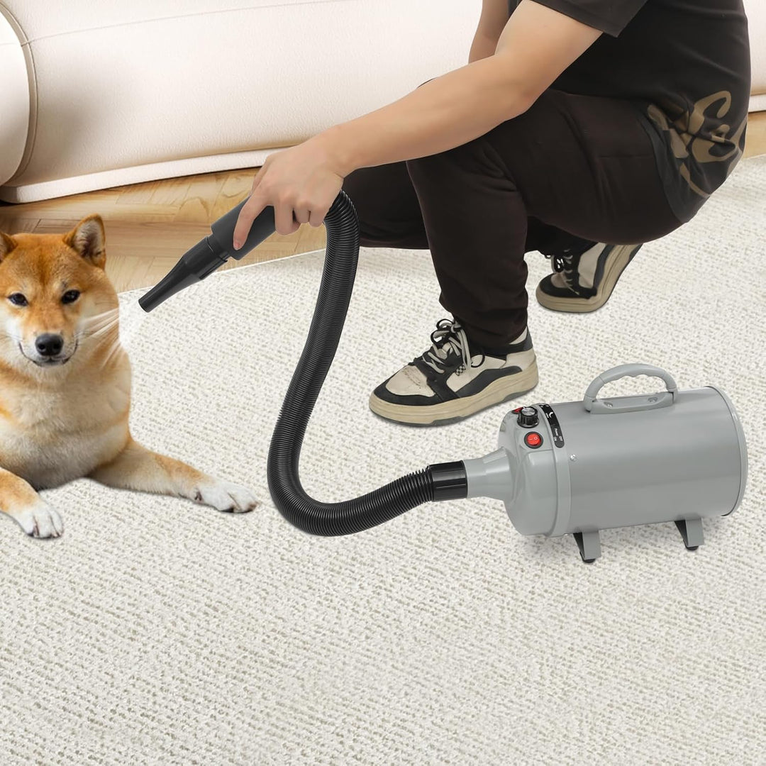 Hundefön Blower mit 4 Düsen - 2200W Profi Blower Hund, Leiser Hundepflege Trockner Gebläse für Hunde