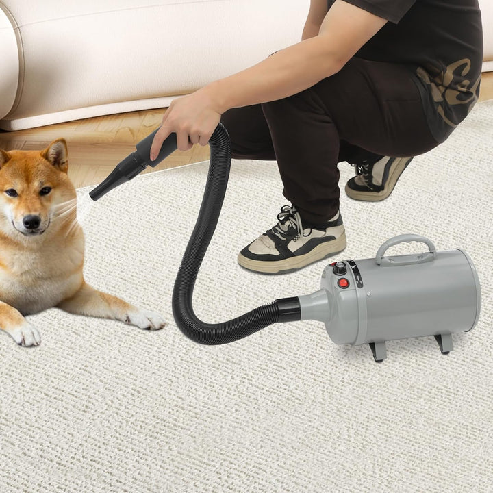 Hundefön Blower mit 4 Düsen - 2200W Profi Blower Hund, Leiser Hundepflege Trockner Gebläse für Hunde