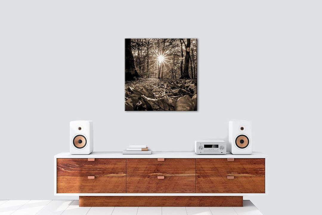 sonniger Tag im Wald Effekt: Sepia, Format: 60x60 als Leinwandbild, Motiv fertig gerahmt auf Echthol