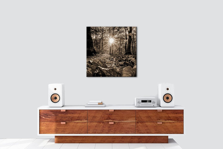 sonniger Tag im Wald Effekt: Sepia, Format: 60x60 als Leinwandbild, Motiv fertig gerahmt auf Echthol