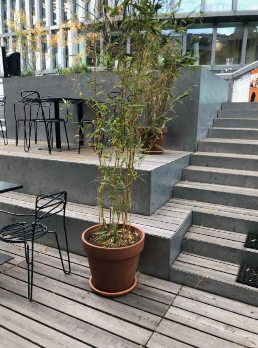 KOTARBAU® 4er Set Blumentopf Übertopf aus Terrakotta ⌀ 11 cm für Innenräume und Gärten Terrakotta 11
