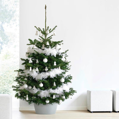 Ecopots Christbaumständer mit Wasserspeicher für Bäume bis 3,00 m Baumhöhe umkippsicher - Tannenbaum