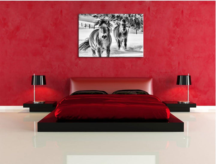 Pixxprint Pferd im Schnee / 100x70cm Leinwandbild bespannt auf Holzrahmen/Wandbild Kunstdruck Dekora