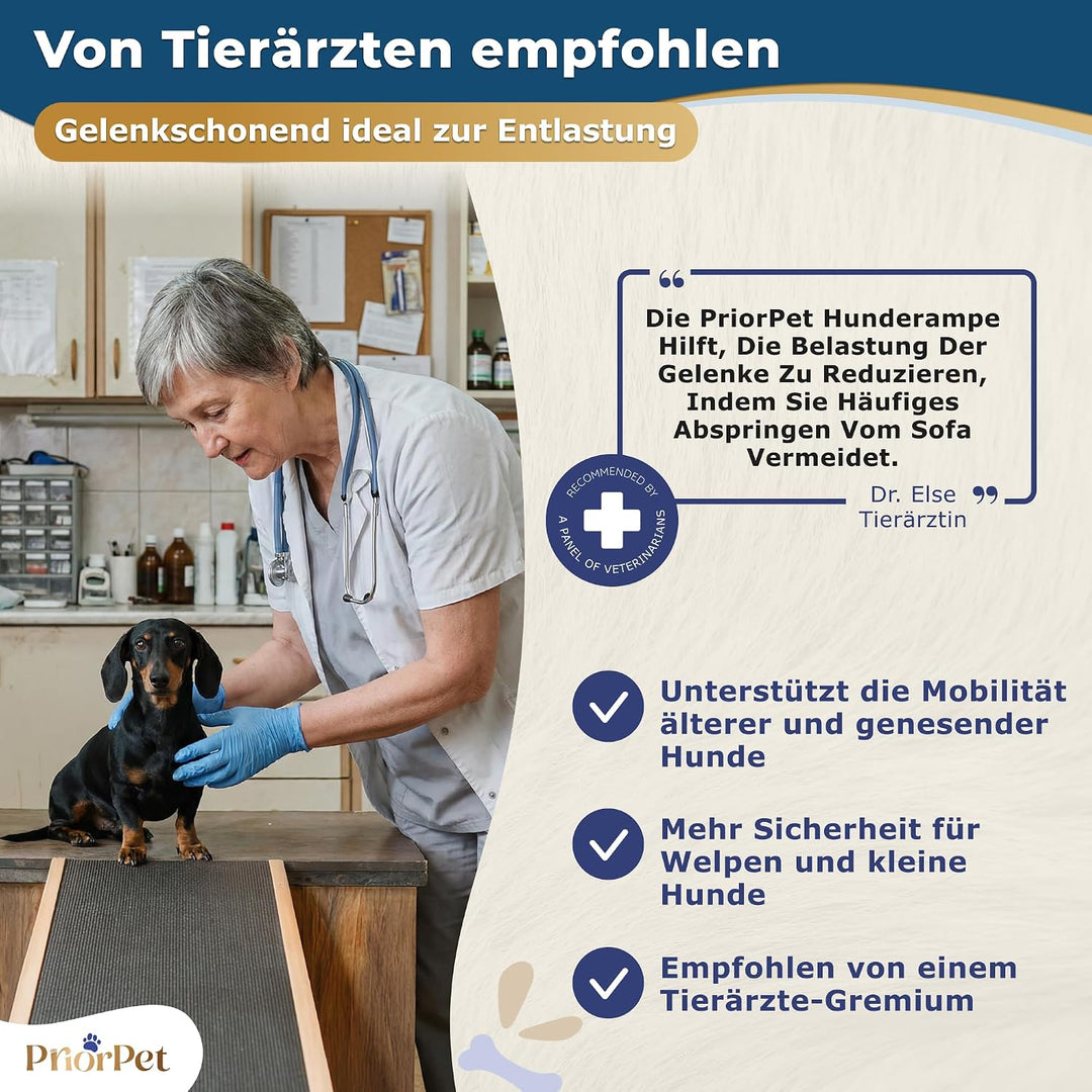 Hunderampe - Hundetreppe für kleine Hunde und grosse Hunde - Einstellbar 18-53 cm - Für Bett Sofa -