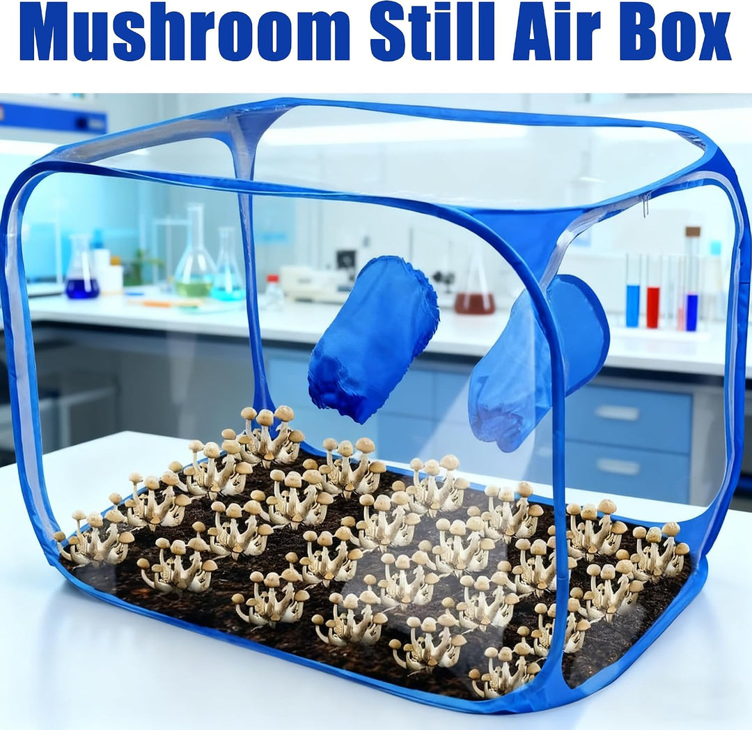 Still Air Box, 90x60x60cm, Pop Up Pilz Wachsen Zelt Kit, mit Handschuhen, Transparent, Tragbar, Pfla
