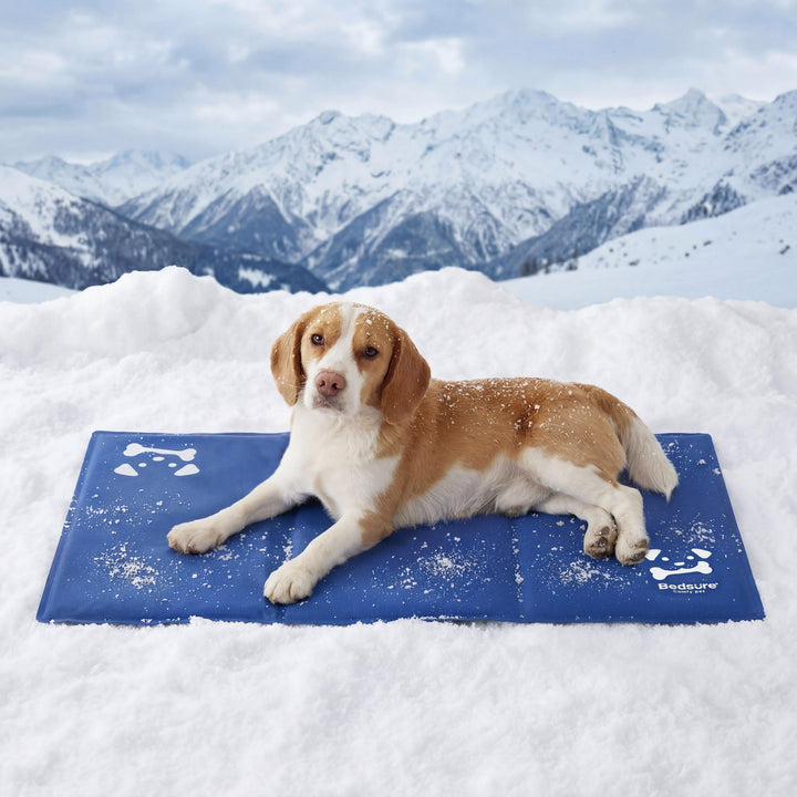 BEDSURE kühlmatte für Hunde grosse – 90x50cm selbstkühlende Gelmatte mit kratzfestem 300D Oxford-Sto