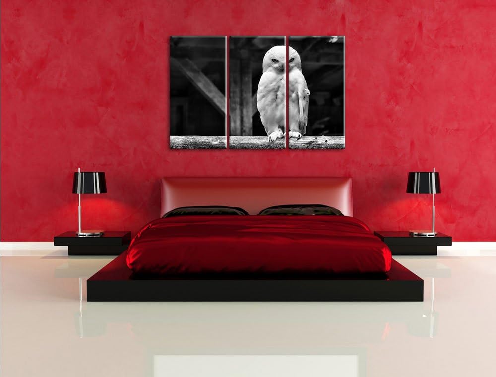Pixxprint Weisse Schneeeule als Leinwandbild | Grösse: 3 Teilig (120x80) | Wandbild| Kunstdruck | fe
