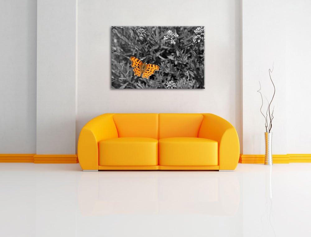 schöner Schmetterling auf Blumenwiese schwarz/weiss auf Leinwand, XXL riesige Bilder fertig gerahmt