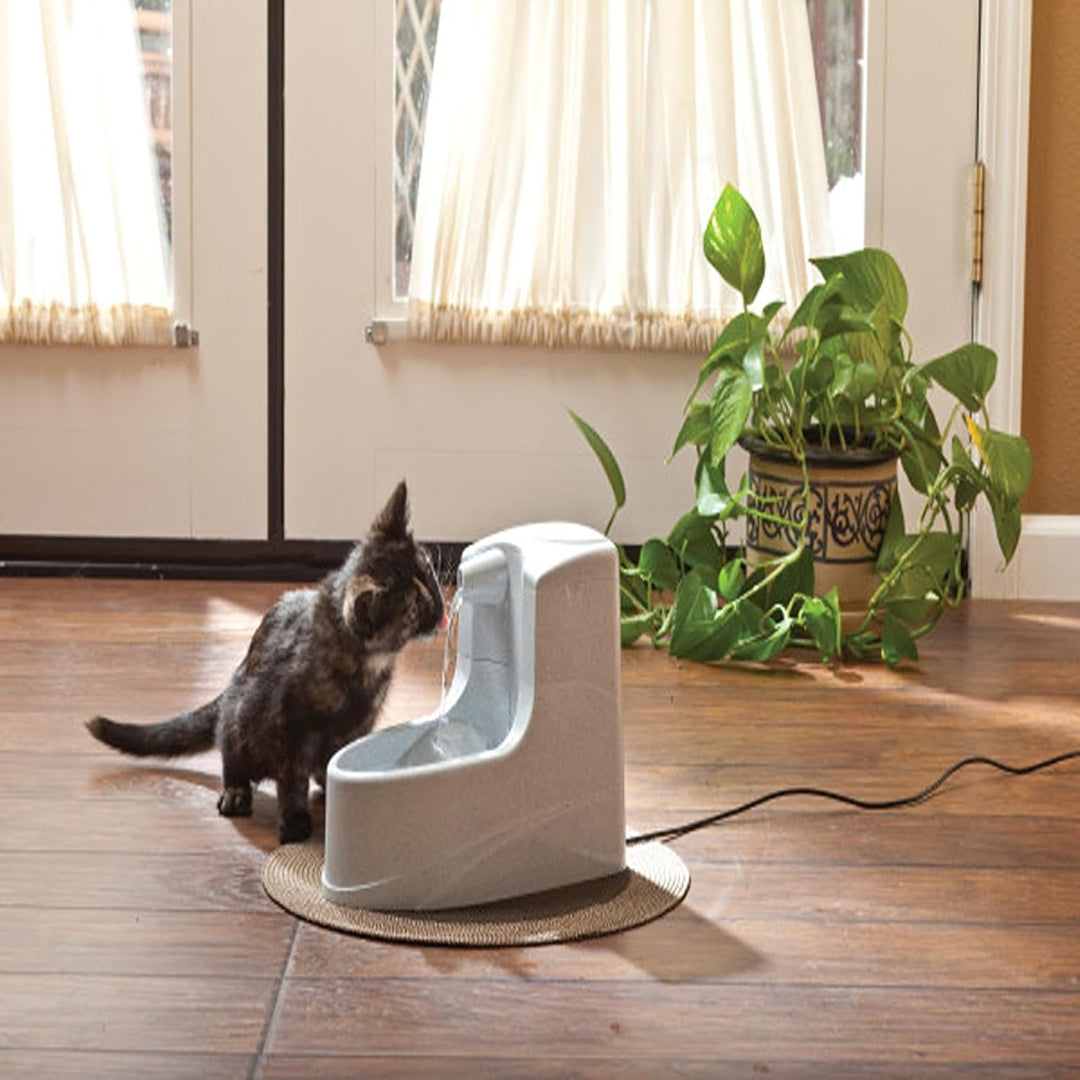 PetSafe Drinkwell Trinkbrunnen Mini, Zweifaches Filtersystem, Für kleine Hunde und Katzen geeignet,